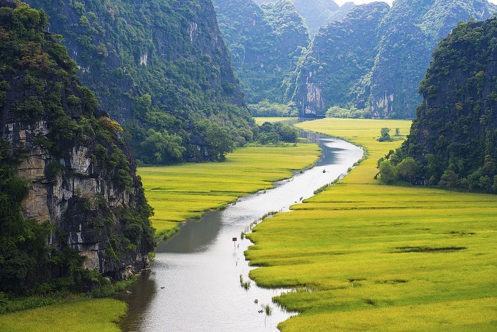 rice-field-and-river-in-ninhbinh-vietnam