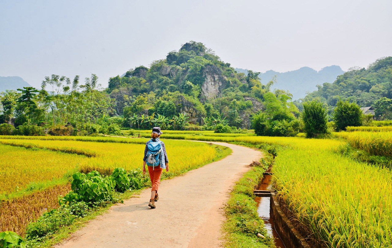 Rice fields in Mai Chau, Pu Luong in 8 days