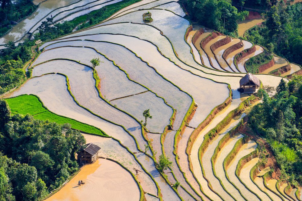 The rice terraces in Hoang Su Phi