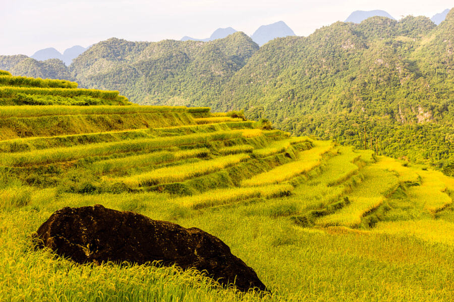 The rice terraces in Pu Luong